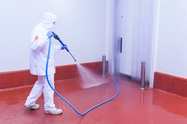 Best Graffiti Removal  in Mount Carmel, OH